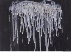 Photo Texture of Wax